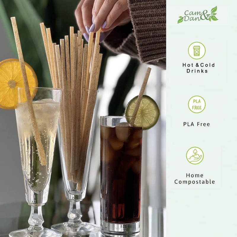 500 pcs Biodegradable Sugarcane Straws/Paille Eco-Friendly Compostable Plastic-Free Non-Pla Drinking