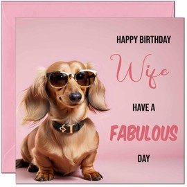 Wifes Birthday Card - Fabulous Dachshund Funny Birthday Cards for Wife 145mm x 145mm