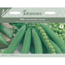 Johnsons 10443 Vegetable Seeds, Pea Kelvedon Wonder