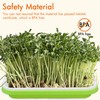Gardzen 5-Pack Sprouts Growing Kit, Bean Sprouts Tray, Soil-Free Sprouting