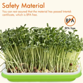 Gardzen 5-Pack Sprouts Growing Kit, Bean Sprouts Tray, Soil-Free Sprouting Tray, Ideal for Mung, Wheatgrass, Indoor Gardening