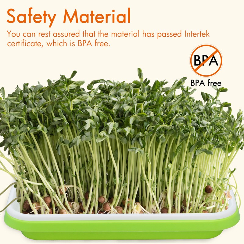 Gardzen 5-Pack Sprouts Growing Kit, Bean Sprouts Tray, Soil-Free Sprouting