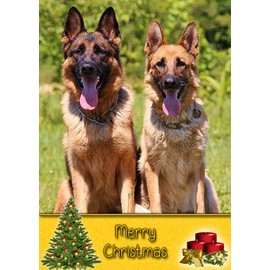 German Shepherd Dog Christmas Card 'Merry Christmas' - Special Animal Xmas Card for Him Her from Pets Kids