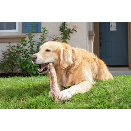 Natural Cravings Monster Beef Trachea Premium Dog Chew & Treat | Single Ingredient | Packaged and Sourced in The USA | Pack of 3