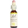 Batch Flower Remedy Honeysuckle, 0.3 fl oz (10 ml), Glycerin