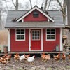 2 Pack Chicken Coop Windows 12" x 18", Sliding Shed