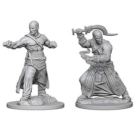 Wiz Kids Pathfinder Battles Deep Cuts Miniatures Bundle: Human Male Monk W1 x2