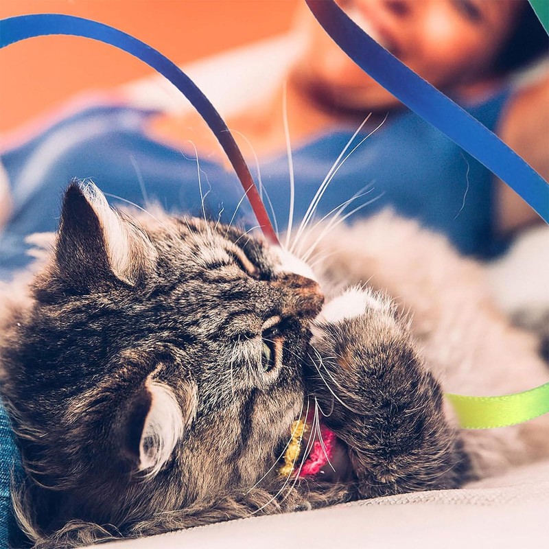 RSYHVG 6 Packs Cat Wand Toy Set, 30cm Cat Interactive