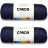Bulk Buy: Caron Simply Soft Yarn Solids (2-pack) (Dark Country