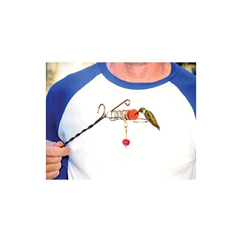 Songbird Essentials Whimsy Wand Hand Held Hummingbird Feeder