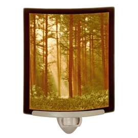 Woodland Sunbeams Colored Porcelain Lithophane Night Light