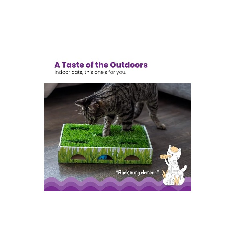 Petstages Caja de Caza con Parche de Hierba para Gatos