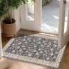 Indoor Washable Door Mat, Small Area Rug for Kitchen, Soft