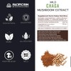 Pacific Rim Mushrooms Chaga Mushroom Powder - Wild Mushroom Extract