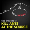 Raid Ant Baits Indoor Ant Killer, 8-Baits, 0.24 oz. Total