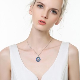 YAFEINI Dolphin/Axolotl/Owl/Frog/Dragonfly Crystal Necklace for Women 925 Sterling Silver Dragonfly Jewellery Dragonfly Lucky Chain Jewellery Gifts for Women and Girls, Crystal, Aquamarine