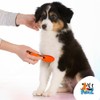 PM004 Carda Cerdas Curvas para Perros y Gatos