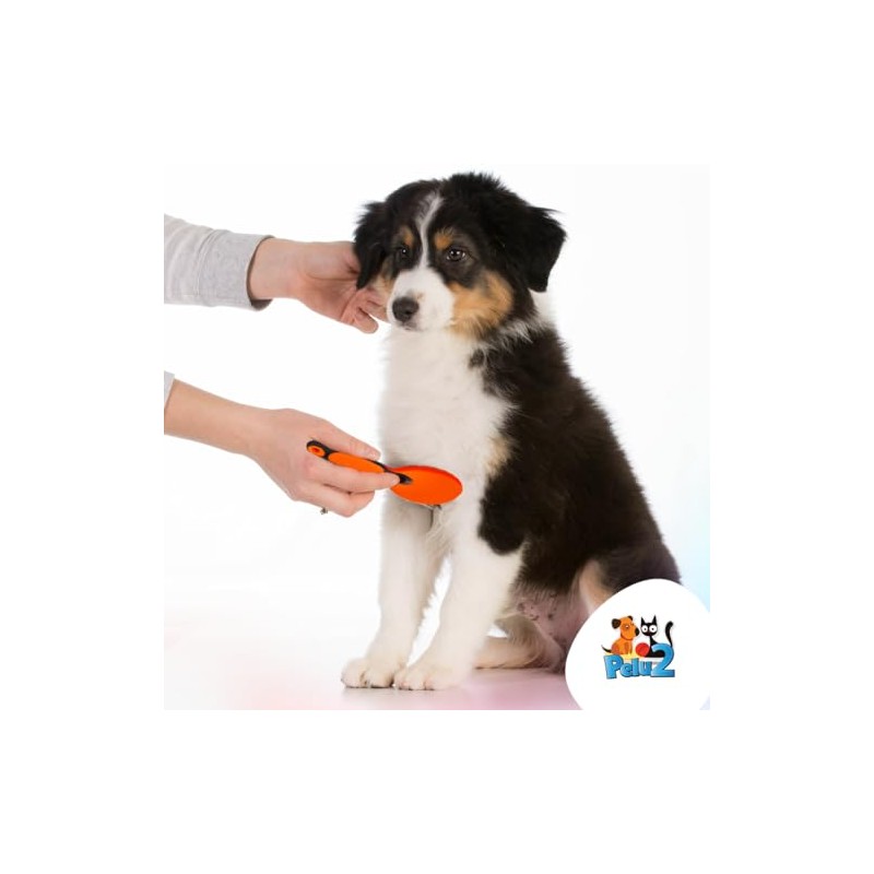 PM004 Carda Cerdas Curvas para Perros y Gatos