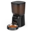 Automatic Cat Feeder, Cat Food Dispenser with Stainless Steel Bowl,