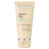 Schrammek Blemish Balm Classic BB Cream 30ml / 슈라멕 블레미쉬 밤 클래식 비비크림 30ml