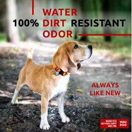 WAUDOG Waterproof Dog Collar - Adjustable Dog Collar for Large Dogs, Small and Medium Dogs - Heavy Duty Dog Collars with Durable Metal Clasp and QR Dog Tag - Boy & Girl Dog Collars (Orange)