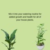 Houseplant Hero All Purpose Plant Food - 10-10-10 House Plant