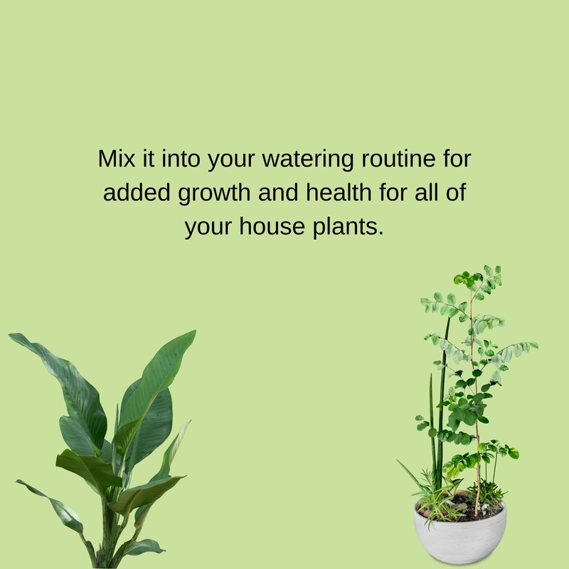 Houseplant Hero All Purpose Plant Food - 10-10-10 House Plant