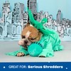 Barkbox Lady Liberty Ball 2-in-1 Dog Toy - Plush Squeaky