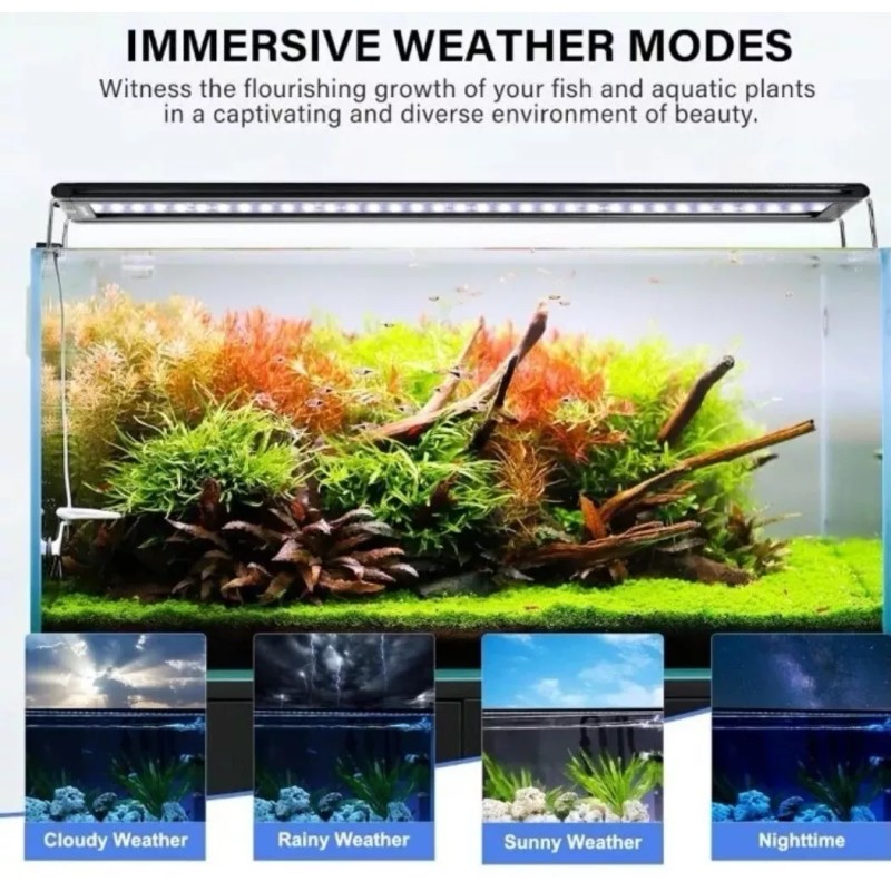 fishkeeper 42W 24/7 Aquarium Light -Full Spectrum, Sunrise/Daylig