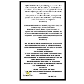 Gifts by Lulee, LLC Novena to Our Lady of Good Remedy Blessed Laminated Italian Holy card with Gold Accents