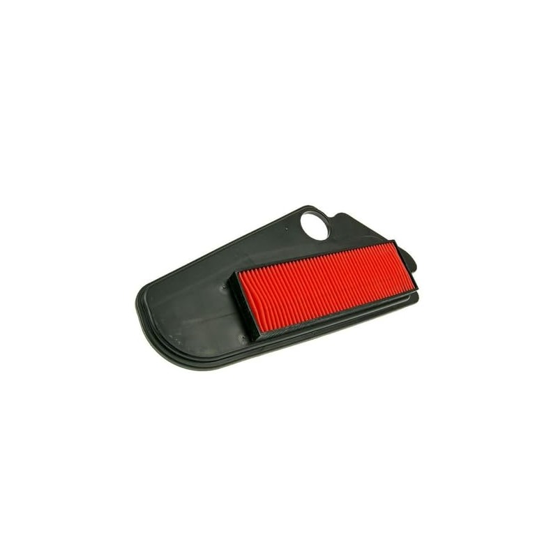 2EXTREME Air Filter Insert Compatible with Kymco Agility, DJ 50