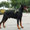 Dog Front Leg Support Sling Portable Breathable Split Auxiliary Chest