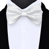 GUSLESON White Paisley Bow Tie Pocket Square Set for Wedding