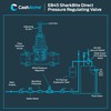 Cash Acme EB45 SharkBite Pressure Regulating Valve with Disconnect Clip,