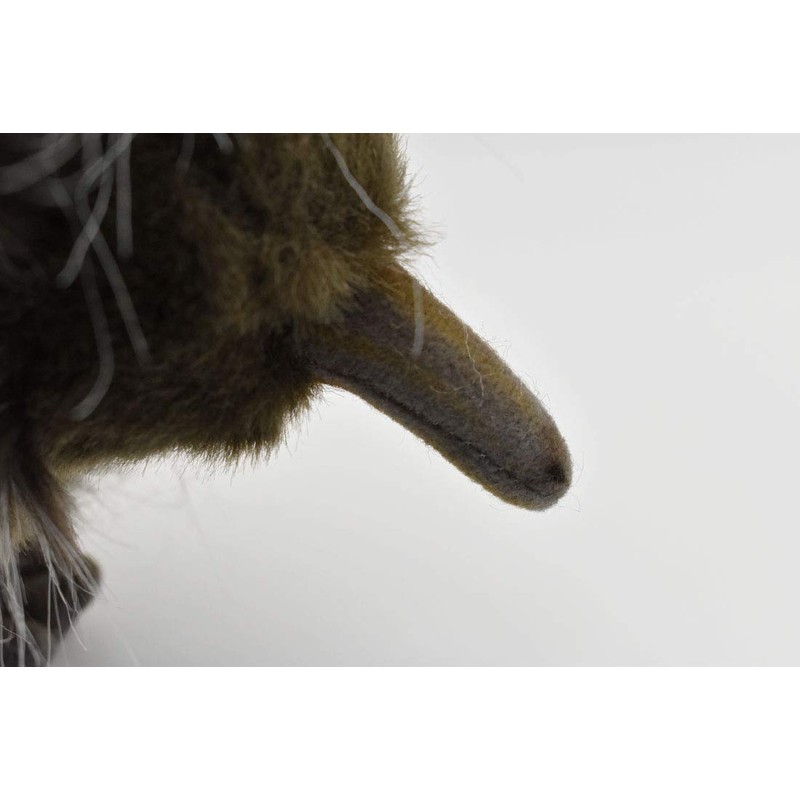 Echidna 11 inches 28cm