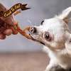 Gootoe Turkey Tendon Dog Treats – 100% USA-Sourced, Natural Snack,