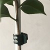 Vtete 50 PCS Large Size Orchid Clips and Garden Support