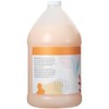 Ginger Lily Farms Botanicals Coco Mango Moisturizing Shampoo, 100% Vegan,