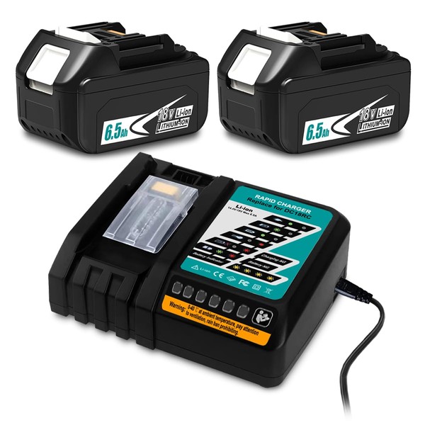 2 Pack 18V 6.5Ah Battery with Rapid Charger Combo for