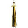 2025 Graduation Tassels Black/Gold,Honor Grad Tassels with Gold Year Charm