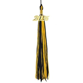 2025 Graduation Tassels Black/Gold,Honor Grad Tassels with Gold Year Charm