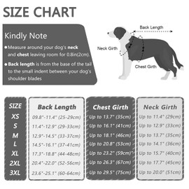 Due Felice Dog Surgery Recovery Suit One Piece for Female and Male Dogs Post Surgery Surgical Recovery Suit Post-Operative Spay Neutersuit Shedding Suit Grey/XL