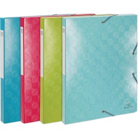 Exacompta 59220E Boite de classement gamme 1928 en carte pélliculée with marquage 600 g dos de 2.5 cm coloris aléatoire framboise, turquoise, vert anis or blue tropice.