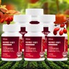 Ollitru Berberine Formula 6, total 360 tablets (6 months supply) / 올리트루 베르베린 포뮬러 6개 총 360정 (6개월분)