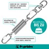 Poprkdre Swing Spring Steel Spring, Hanging Chair with 2 Carabiner