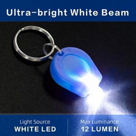 RaySoar 10 Pack Ultra Bright Mini LED Keychain Flashlight, Small Key Ring Flashlight, Portable LED Keychain Light for Outdoor Activities Emergency Light - Blue Shell