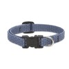 LupinePet Eco 1/2" Mountain Lake 10-16" Adjustable Collar for Small