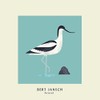 Avocet [VINYL]