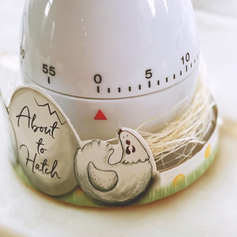 Kate Aspen About to Hatch Kitchen Egg Timer in Showcase