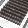Scala Thickness 0.10mm C Curl Light Brown/Dark Brown/Black-Brown False lashes